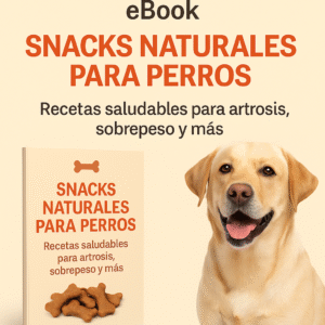 🐾 Combo Perros + Gatos