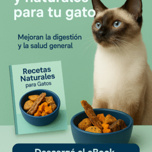 E-BOOK Recetas saludables para  gatos