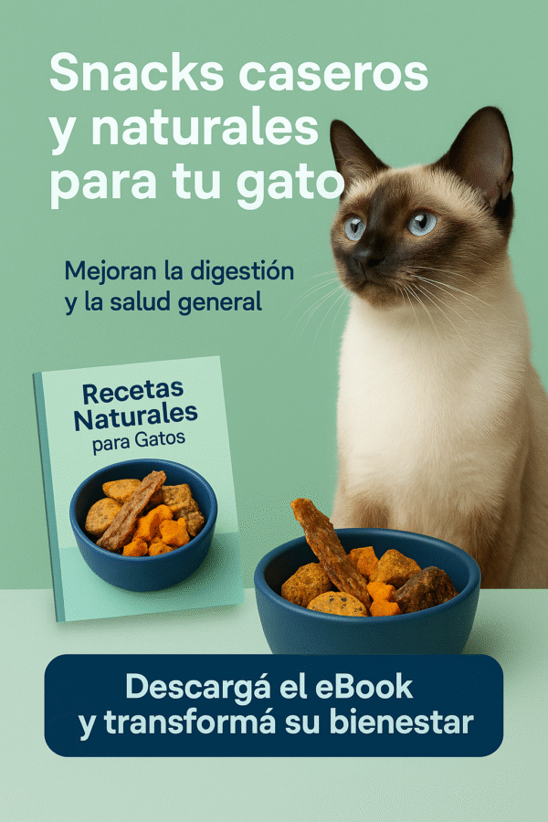 🐾 Combo Perros + Gatos - Image 2